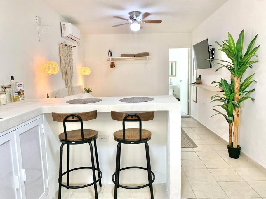 Casa Anuiti Centrica Ubicacion. Apartment San José del Cabo Екстериор снимка