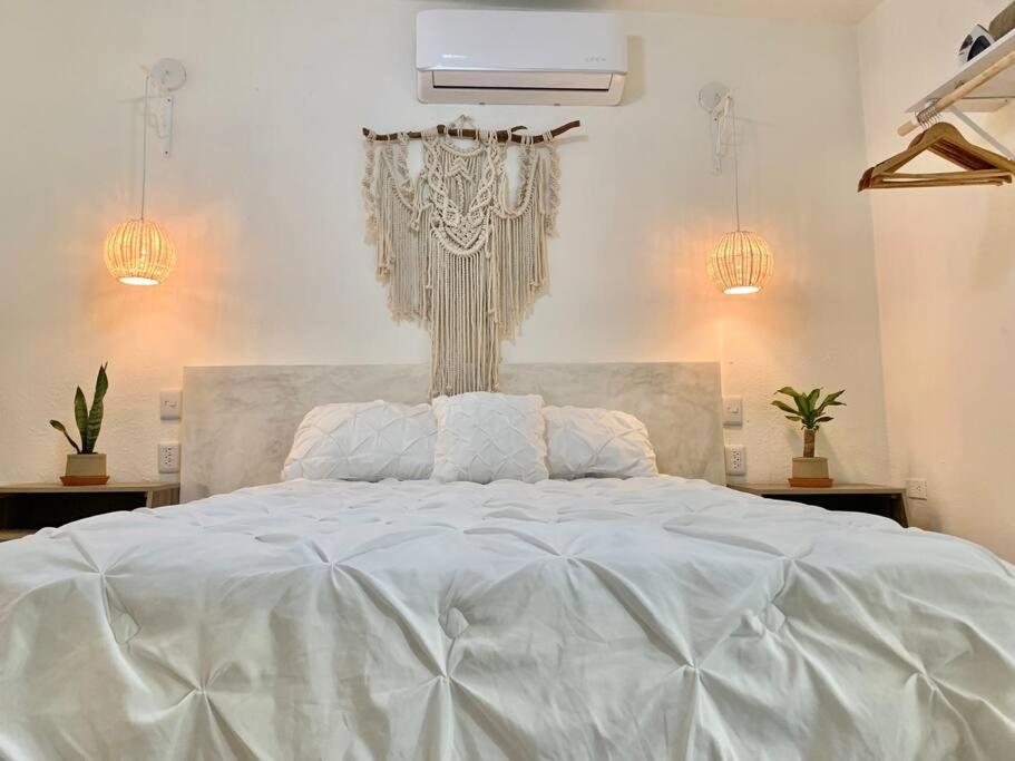 Casa Anuiti Centrica Ubicacion. Apartment San José del Cabo Екстериор снимка